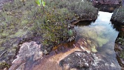 Obrázek z trasy Roraima jacuzzi