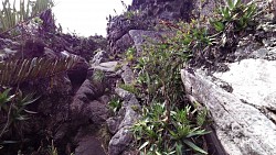 Picture from track To the highest point of Roraima - Maverick Rock