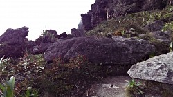 Picture from track To the highest point of Roraima - Maverick Rock