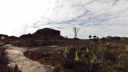 Picture from track To the highest point of Roraima - Maverick Rock