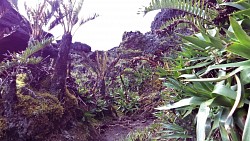 Picture from track To the highest point of Roraima - Maverick Rock