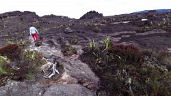 Imagen de ruta En el punto más alto de Roraima - Maverick Rock