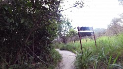 Picture from track A trip to the waterfall Salto El Sapo in Canaima National Park