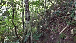 Picture from track A trip to the waterfall Salto El Sapo in Canaima National Park