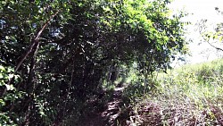 Picture from track A trip to the waterfall Salto El Sapo in Canaima National Park