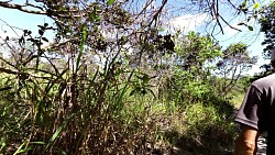 Picture from track A trip to the waterfall Salto El Sapo in Canaima National Park