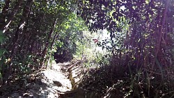 Picture from track A trip to the waterfall Salto El Sapo in Canaima National Park