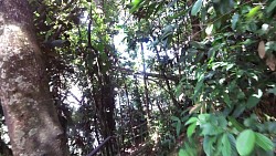 Bilder aus der Strecke Spaziergang unter dem Wasserfall Salto Hacha und Fahrt auf dem Canaima Lagoon