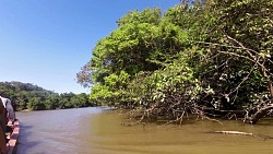 Obrázek z trasy Na lodi po řece v Los Llanos