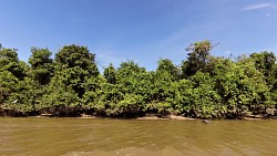 Obrázek z trasy Na lodi po řece v Los Llanos