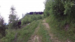 Obrázek z trasy Off road trasa Rumunsko - Ciungeta - hřeben hor - Transalpina