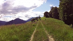 Obrázek z trasy Off road trasa Rumunsko - Ciungeta - hřeben hor - Transalpina