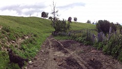 Obrázek z trasy Off road trasa Rumunsko - Ciungeta - hřeben hor - Transalpina