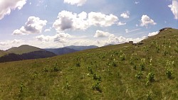 Picture from track Offroad trip Romania, Spre strategnica, Transalpina