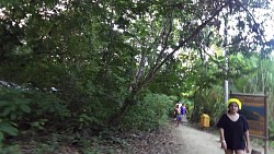 Bilder aus der Strecke Tayrona-Nationalpark - von Canaveral nach Arrecifes