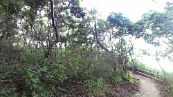 Bilder aus der Strecke Tayrona-Nationalpark - von Canaveral nach Arrecifes