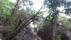 Bilder aus der Strecke Tayrona-Nationalpark - von Canaveral nach Arrecifes