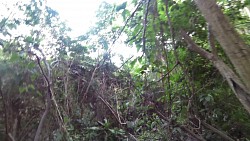 Bilder aus der Strecke Tayrona-Nationalpark - von Canaveral nach Arrecifes