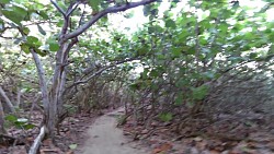 Bilder aus der Strecke Tayrona-Nationalpark - von Canaveral nach Arrecifes