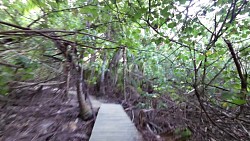 Bilder aus der Strecke Tayrona-Nationalpark - von Canaveral nach Arrecifes