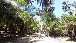 Bilder aus der Strecke Tayrona-Park - Ausflug von Arrecifes nach Cabo San Juan