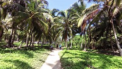 Obrázek z trasy Tayrona park - výlet z Arrecifes do Cabo San Juan