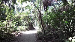 Bilder aus der Strecke Tayrona-Park - Ausflug von Arrecifes nach Cabo San Juan