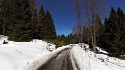 Obrázek z trasy Boletice race - závod horských kol 68km