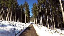 Obrázek z trasy Boletice race - závod horských kol, 41 km