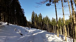 Obrázek z trasy Boletice race - závod horských kol, 41 km