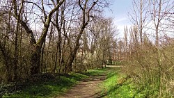 Obrázek z trasy Město Kouřim – po stopách dávné historie