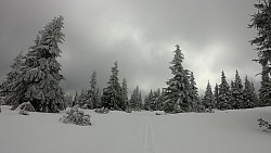 Obrázek z trasy Na běžkách z Pece na Sněžku, Výrovku a zpět do Pece