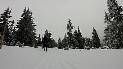 Picture from track 