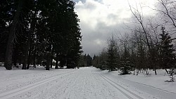 Picture from track 