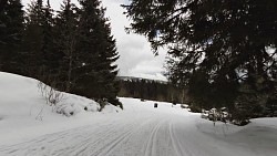 Obrázek z trasy Na běžkách z Pece Na Rozcestí, Rennerovky, Pražskou a zpět do Pece