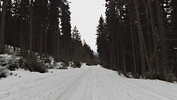 Obrázek z trasy Na běžkách z Pece přes Hnědý vrch, Lesní a Pražskou boudu a Peckou samotu zpět do Pece pod Sněžkou