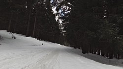 Obrázek z trasy Na běžkách z Pece přes Hnědý vrch, Lesní a Pražskou boudu a Peckou samotu zpět do Pece pod Sněžkou