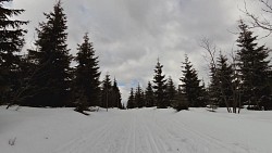 Obrázek z trasy Na běžkách z Pece přes Hnědý vrch, Lesní a Pražskou boudu a Peckou samotu zpět do Pece pod Sněžkou