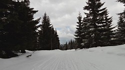 Obrázek z trasy Na běžkách z Pece přes Hnědý vrch, Lesní a Pražskou boudu a Peckou samotu zpět do Pece pod Sněžkou