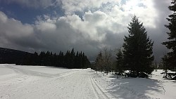 Obrázek z trasy Na běžkách z Pece přes Hnědý vrch, Lesní a Pražskou boudu a Peckou samotu zpět do Pece pod Sněžkou