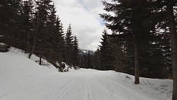 Obrázek z trasy Na běžkách z Pece přes Hnědý vrch, Lesní a Pražskou boudu a Peckou samotu zpět do Pece pod Sněžkou