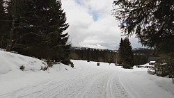 Obrázek z trasy Na běžkách z Pece přes Hnědý vrch, Lesní a Pražskou boudu a Peckou samotu zpět do Pece pod Sněžkou