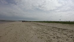 Bilder aus der Strecke Zusammenfluss von Medem und Elbe