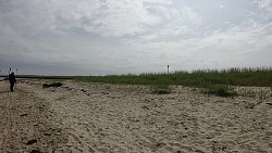 Bilder aus der Strecke Zusammenfluss von Medem und Elbe