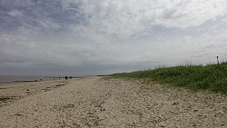 Bilder aus der Strecke Zusammenfluss von Medem und Elbe