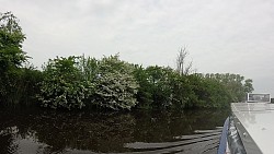 Bilder aus der Strecke Durch Otterndorf vom Rathaus zum Einsteigungsort und auf dem Schiff zum Elbe-Delta