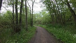 Bilder aus der Strecke Von Fischerei Hemmelsdorf nach Niendorfer Hafen