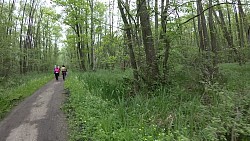 Bilder aus der Strecke Von Fischerei Hemmelsdorf nach Niendorfer Hafen