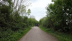 Bilder aus der Strecke Von Fischerei Hemmelsdorf nach Niendorfer Hafen