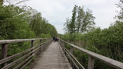 Bilder aus der Strecke Von Fischerei Hemmelsdorf nach Niendorfer Hafen